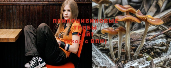 ECSTASY Балабаново